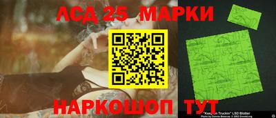 амф Можга