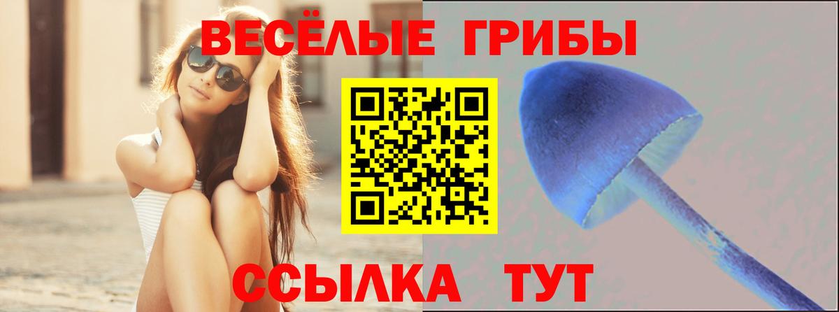 Псилоцибиновые грибы Psilocybine cubensis  Вход с VPN  Галлюциногенные грибы Magic Shrooms  Соликамск 
